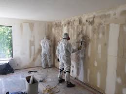 Professional Mold Inspection in West Unity, OH